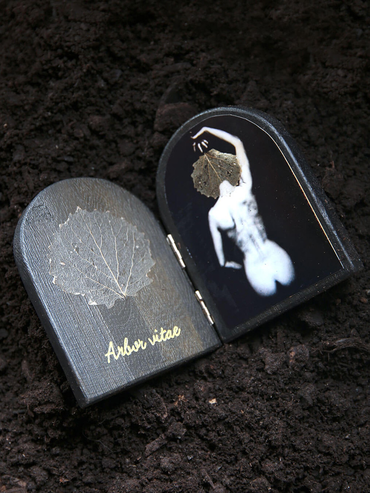 kvinna-lov-ikon-svart-arbor-vitae Svart ikon med svartvitt fotografi av en kvinna som håller ett löv ovanför sitt huvud.